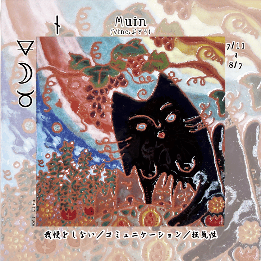 オガムオラクルカード2025年12月のアドバイス