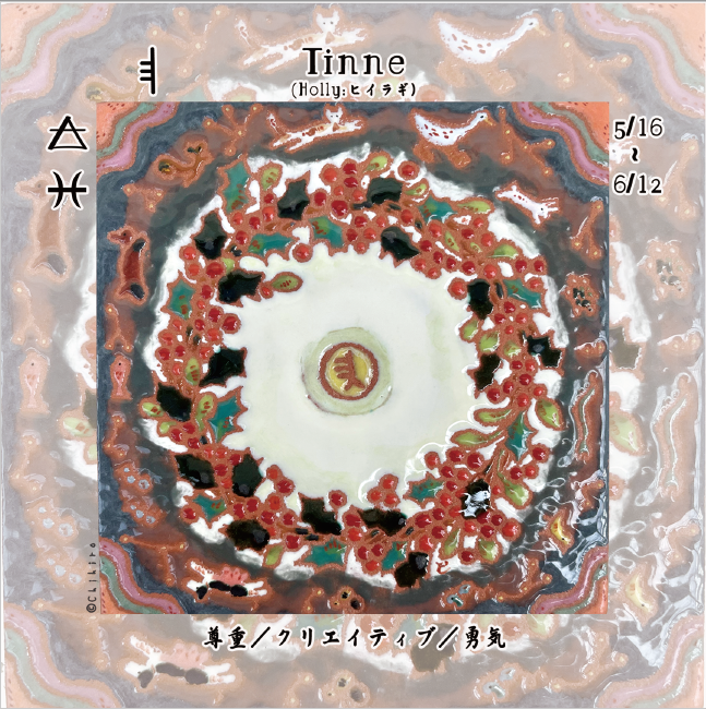 オガムオラクルカード2026年1月のアドバイス