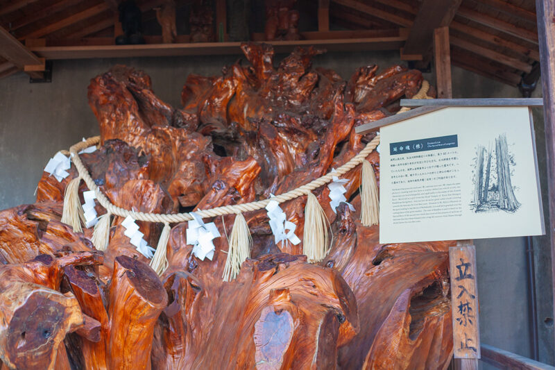 延命塊（えんめいかい）