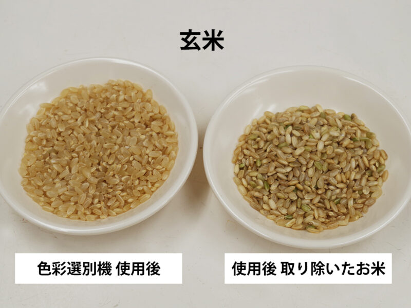 玄米を色彩選別機にかけた後