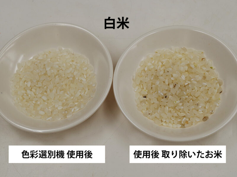 白米を色彩選別機にかけた後