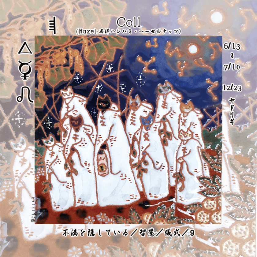 オガムオラクルカード2026年2月のアドバイス