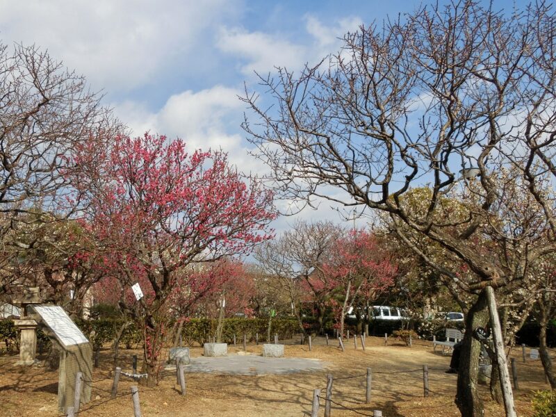 甲東梅林　甲東公民館