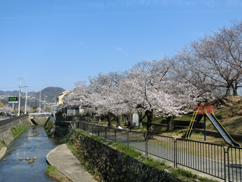 阪神バス　阪急バス　広田神社前　新池　堤　桜