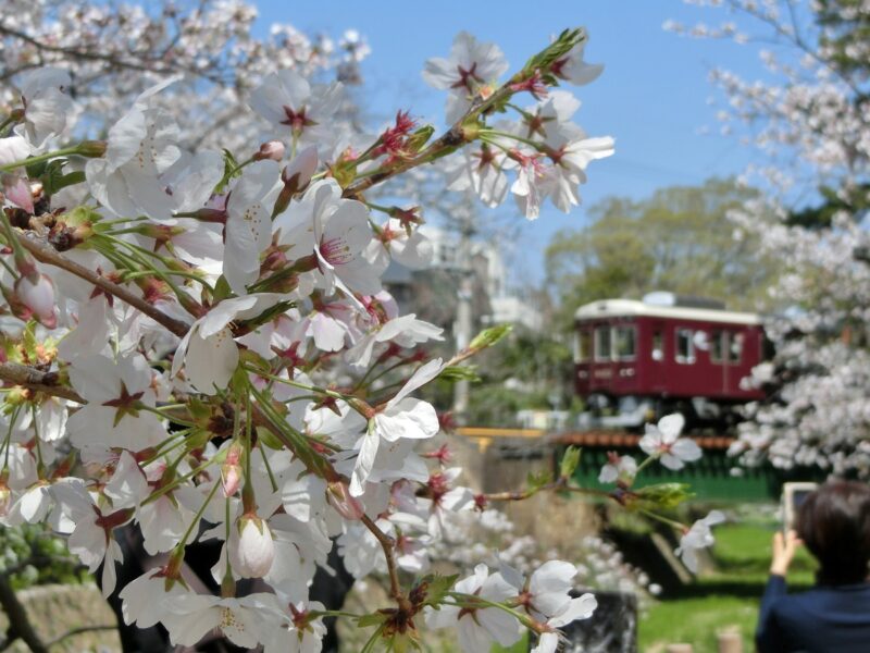 阪急電車　鉄橋　sakura
