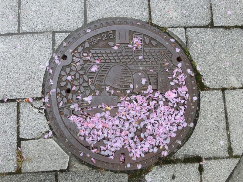 西宮市　御当地柄マンホール　酒蔵　甲子園球場　桜　桜散る　花びら