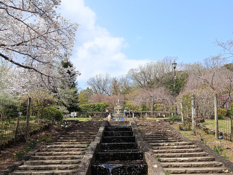 北山緑化植物園の階段より